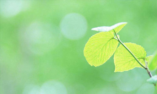 去韩国首尔旅游作文