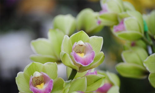 如何记单词最快