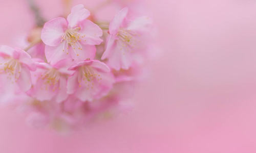 怎么能让孩子快速记单词