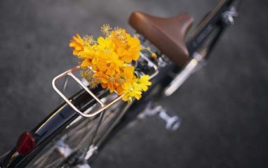 造价师考试看书的技巧有哪些