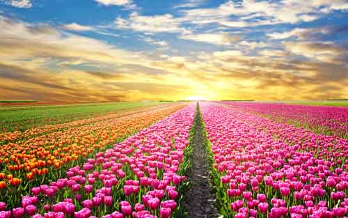 造价师考试看书的技巧有哪些