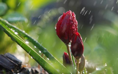 工程造价专业学生学习方法