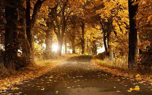 mba为什么推行提前面试