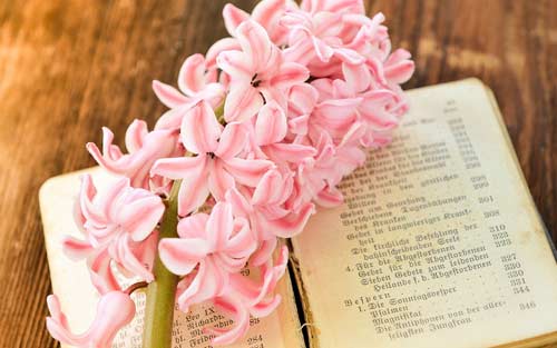 报考mba需要读什么书