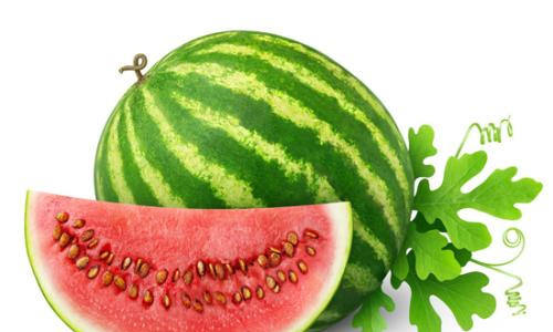 暑假学炒菜作文400字