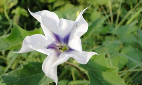 暑假出游感受600字作文