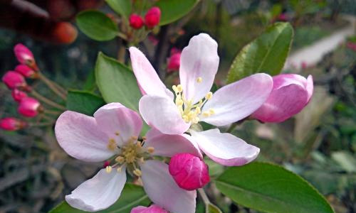 暑假去游泳作文500字