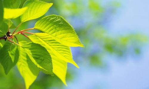 暑假一件有趣的事作文