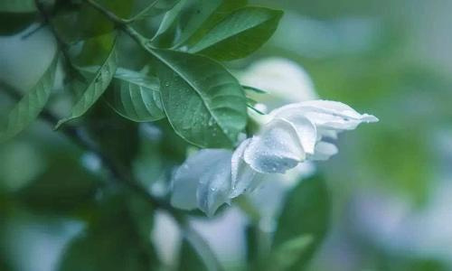 暑假劳动体会800字作文