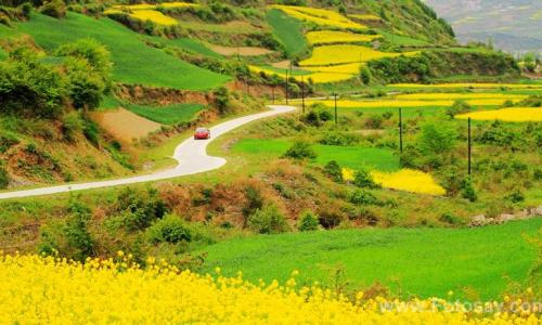 美丽的乡村生活600字作文