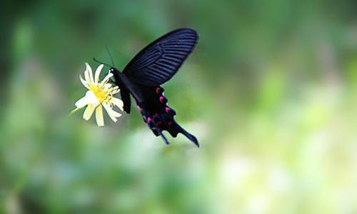 暑假随想800字作文