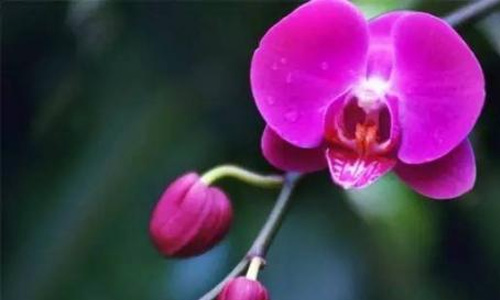 暑假见闻感受作文400字