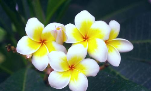 暑假见闻感受作文400字