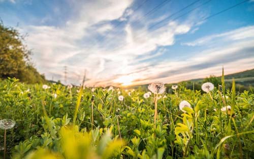 怎样提升自己的情商