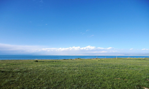 python从入门到实践程序