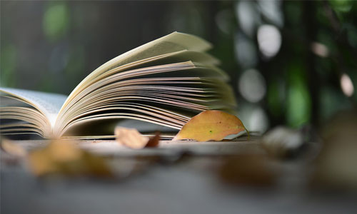 大数据分析要学哪些