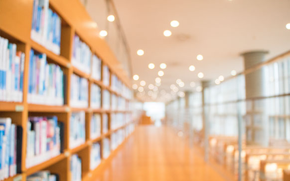 阳光路上我成长演讲稿