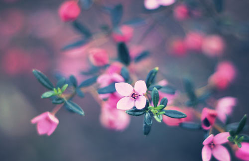 数学教学中如何运用数学史