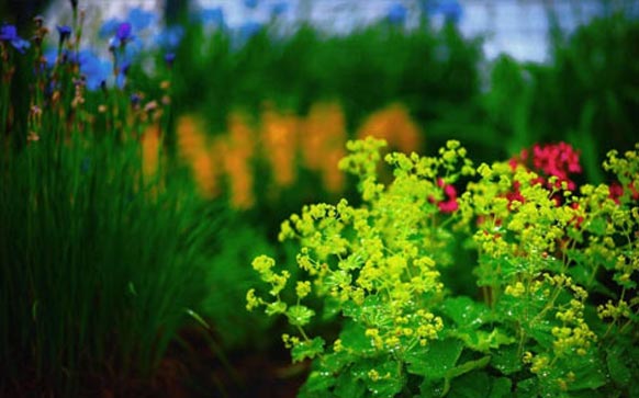 四岁如何开发大脑促进智力发育