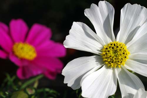 mba在职报考条件