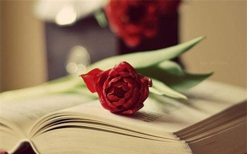 如何备考英语四级听力