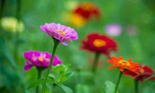 逆反期的孩子怎么教育