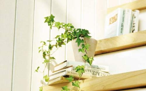 磁性声音怎么练