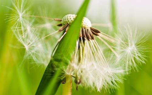 如何消除烦躁情绪