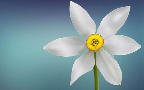 怎么提高个人素质修养