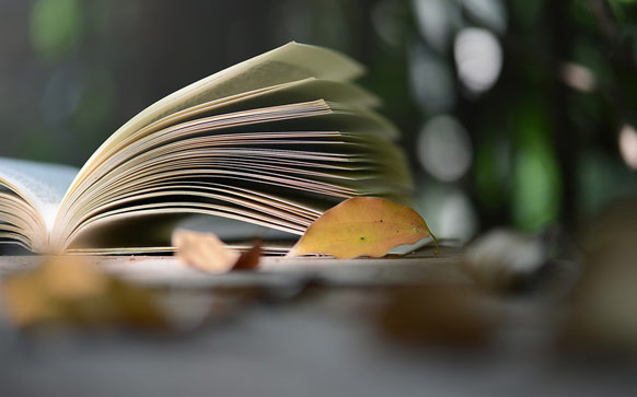 用喜出望外造句