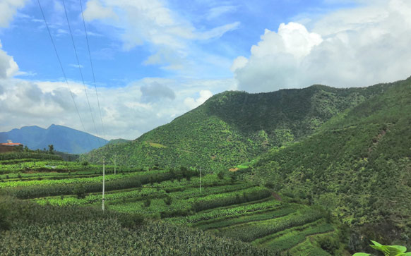 普通的反义词是什么