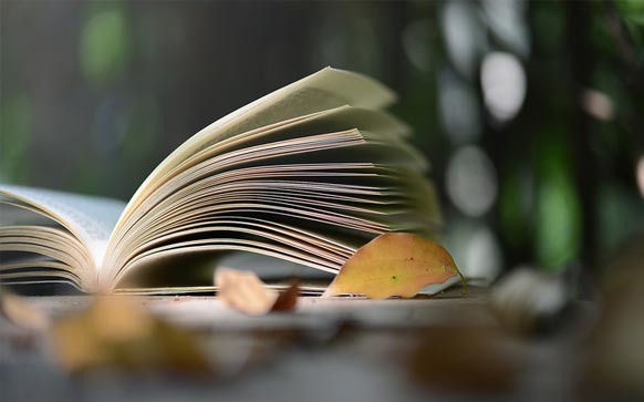 暑假如何背诵新概念英语2