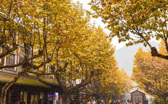 造价师考试报名需交资料