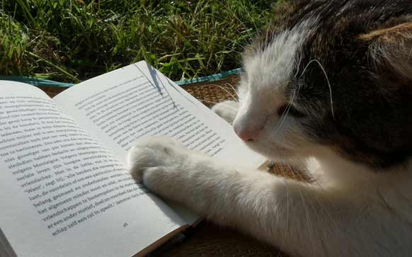 怎么开始准备考公务员