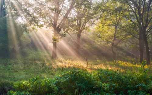 如何带好一个销售团队