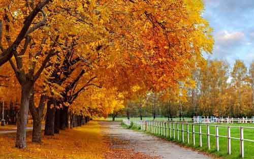 如何做一名好的销售