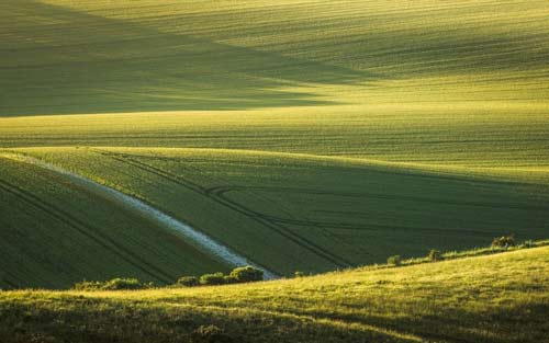 你好的意大利语怎么说