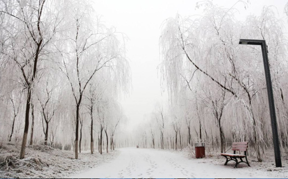 形容飞雪的比喻句