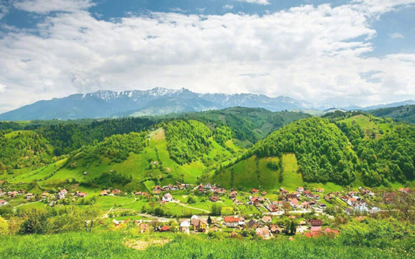 形容春天的成语