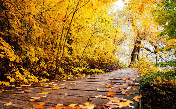 形容很开心的成语