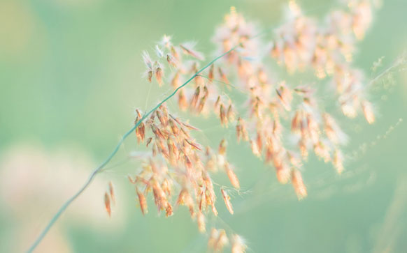 考研日语就业前景