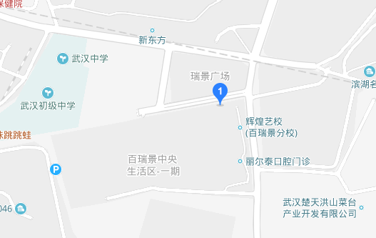 武汉阳光喔百瑞景教学中心地址-百度地图