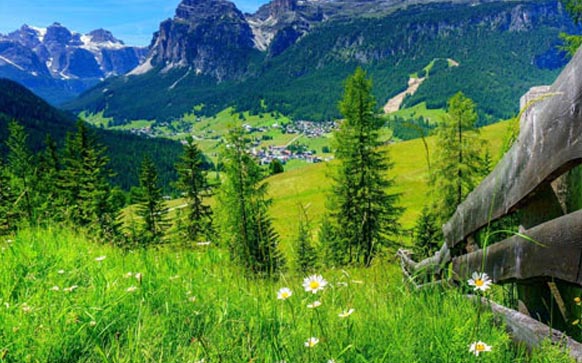 雅思听力部分怎么学