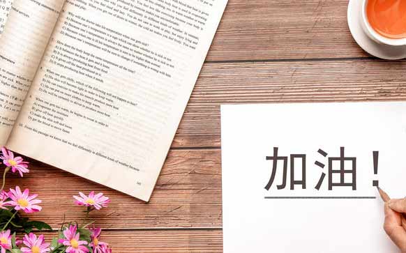 专升本：通往更高学府的桥梁