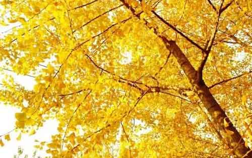 时间的英语怎么说