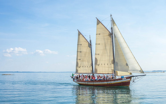 红酒包装设计说明书怎么写