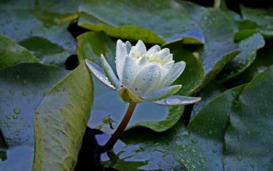 遇到挫折时该怎么办