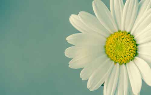 怎样快速背诵课文