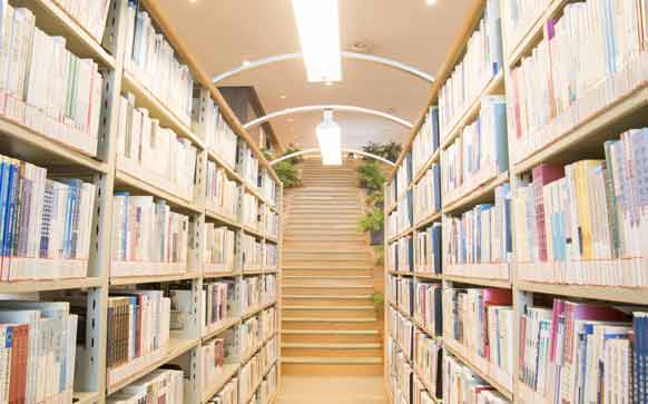 统招报考专升本注意哪些问题