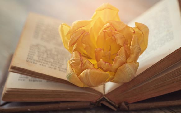 《从心开始》发言稿